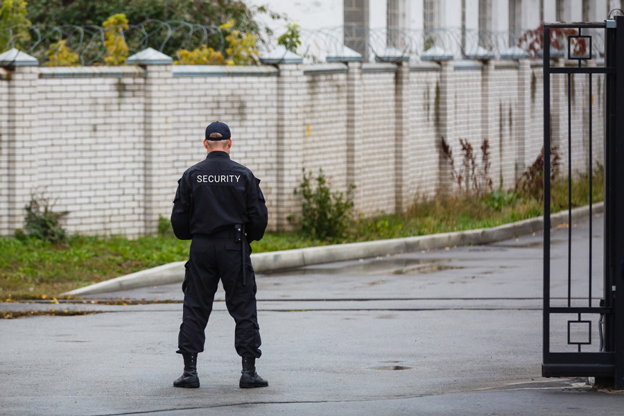 Expertise en Sécurité et Surveillance à Roques